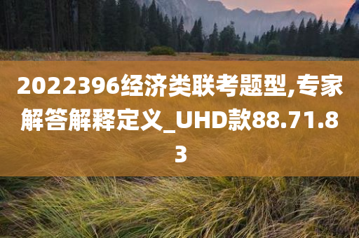 2022396经济类联考题型,专家解答解释定义_UHD款88.71.83