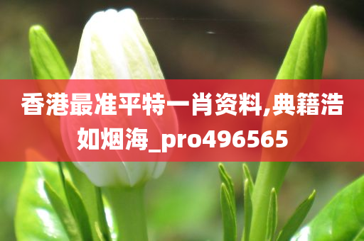 香港最准平特一肖资料,典籍浩如烟海_pro496565