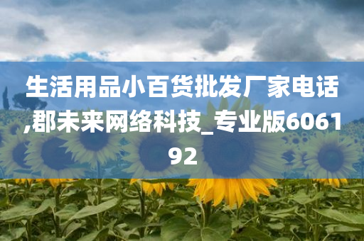 生活用品小百货批发厂家电话,郡未来网络科技_专业版606192