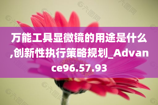 万能工具显微镜的用途是什么,创新性执行策略规划_Advance96.57.93