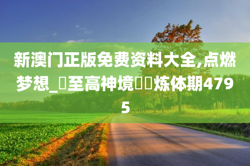 新澳门正版免费资料大全,点燃梦想_‌至高神境‌‌炼体期4795