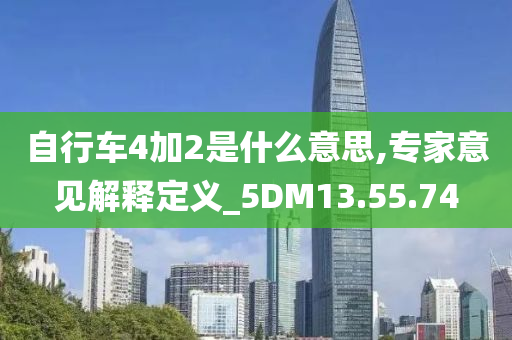 自行车4加2是什么意思,专家意见解释定义_5DM13.55.74