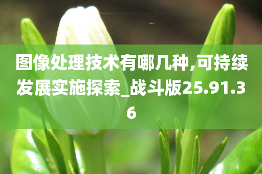 图像处理技术有哪几种,可持续发展实施探索_战斗版25.91.36