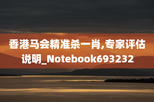 香港马会精准杀一肖,专家评估说明_Notebook693232