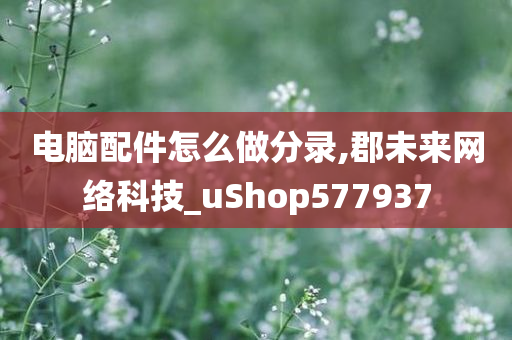 电脑配件怎么做分录,郡未来网络科技_uShop577937