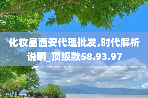 化妆品西安代理批发,时代解析说明_顶级款58.93.97