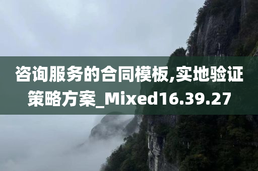 咨询服务的合同模板,实地验证策略方案_Mixed16.39.27