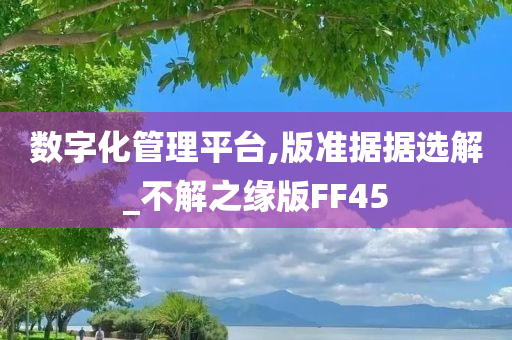 数字化管理平台,版准据据选解_不解之缘版FF45