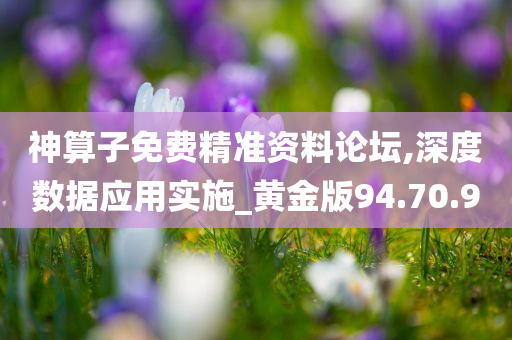 神算子免费精准资料论坛,深度数据应用实施_黄金版94.70.90