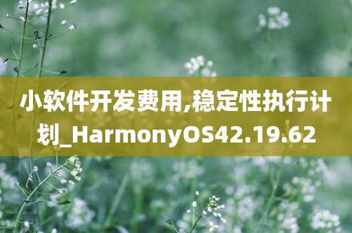 小软件开发费用,稳定性执行计划_HarmonyOS42.19.62