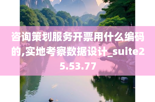 咨询策划服务开票用什么编码的,实地考察数据设计_suite25.53.77