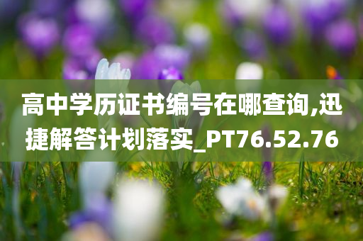 高中学历证书编号在哪查询,迅捷解答计划落实_PT76.52.76