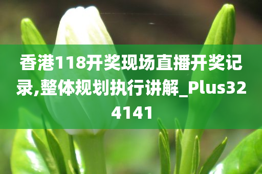 香港118开奖现场直播开奖记录,整体规划执行讲解_Plus324141