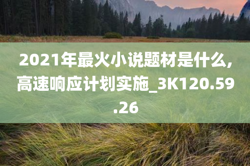 2021年最火小说题材是什么,高速响应计划实施_3K120.59.26