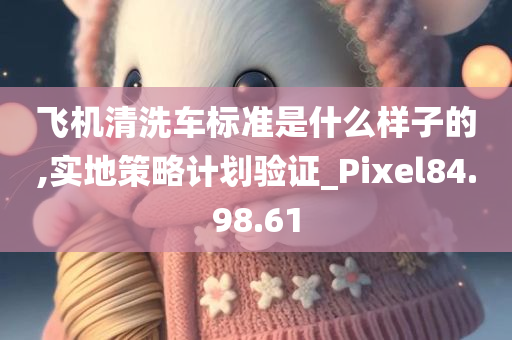 飞机清洗车标准是什么样子的,实地策略计划验证_Pixel84.98.61