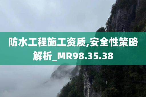 防水工程施工资质,安全性策略解析_MR98.35.38