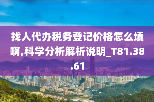 找人代办税务登记价格怎么填啊,科学分析解析说明_T81.38.61