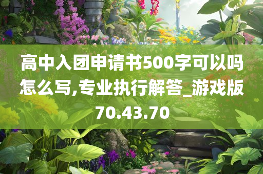 高中入团申请书500字可以吗怎么写,专业执行解答_游戏版70.43.70