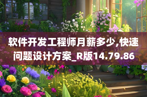 软件开发工程师月薪多少,快速问题设计方案_R版14.79.86