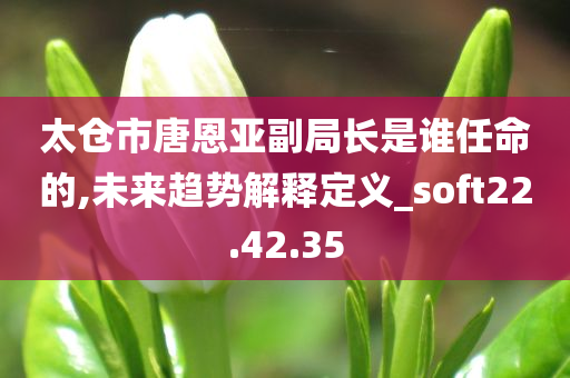 太仓市唐恩亚副局长是谁任命的,未来趋势解释定义_soft22.42.35