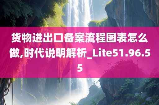 货物进出口备案流程图表怎么做,时代说明解析_Lite51.96.55