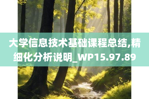 大学信息技术基础课程总结,精细化分析说明_WP15.97.89