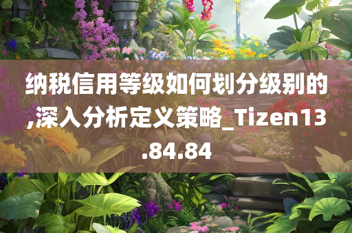 纳税信用等级如何划分级别的,深入分析定义策略_Tizen13.84.84