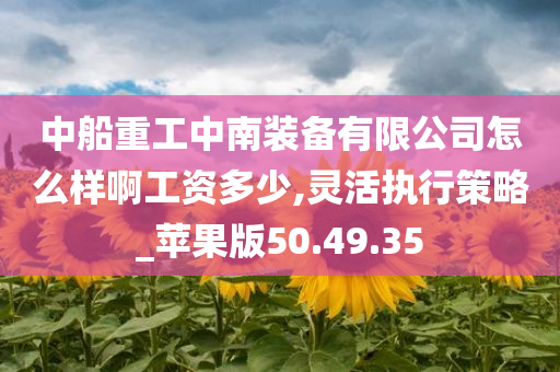 中船重工中南装备有限公司怎么样啊工资多少,灵活执行策略_苹果版50.49.35