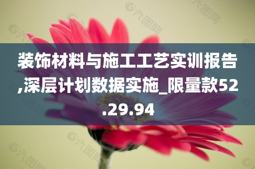 装饰材料与施工工艺实训报告,深层计划数据实施_限量款52.29.94