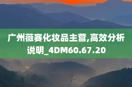 广州薇赛化妆品主营,高效分析说明_4DM60.67.20