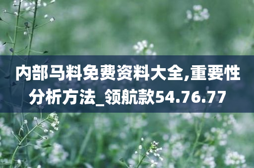 内部马料免费资料大全,重要性分析方法_领航款54.76.77