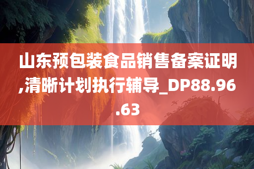 山东预包装食品销售备案证明,清晰计划执行辅导_DP88.96.63