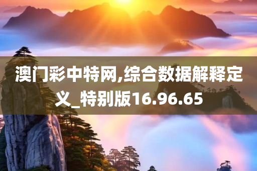 澳门彩中特网,综合数据解释定义_特别版16.96.65