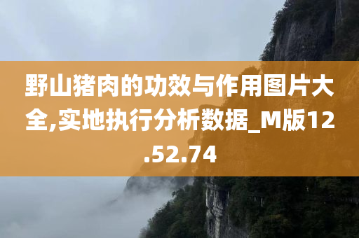 野山猪肉的功效与作用图片大全,实地执行分析数据_M版12.52.74