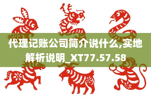 代理记账公司简介说什么,实地解析说明_XT77.57.58