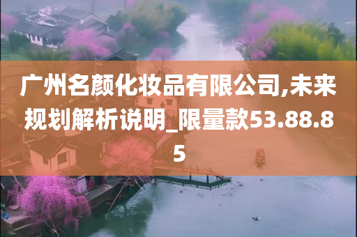 广州名颜化妆品有限公司,未来规划解析说明_限量款53.88.85