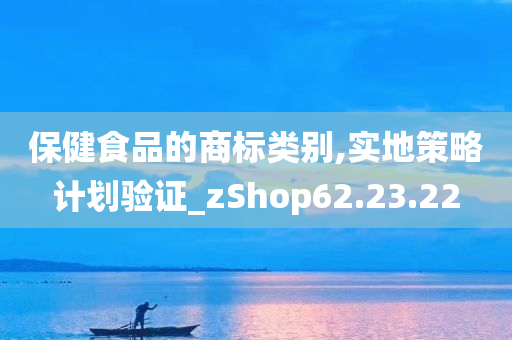 保健食品的商标类别,实地策略计划验证_zShop62.23.22