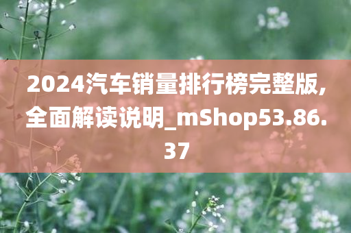 2024汽车销量排行榜完整版,全面解读说明_mShop53.86.37