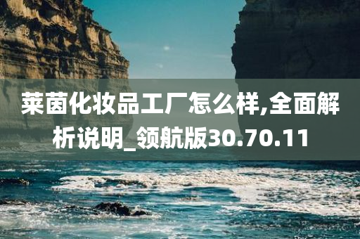 莱茵化妆品工厂怎么样,全面解析说明_领航版30.70.11