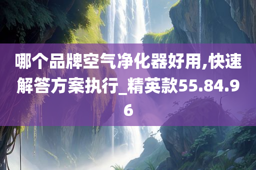 哪个品牌空气净化器好用,快速解答方案执行_精英款55.84.96