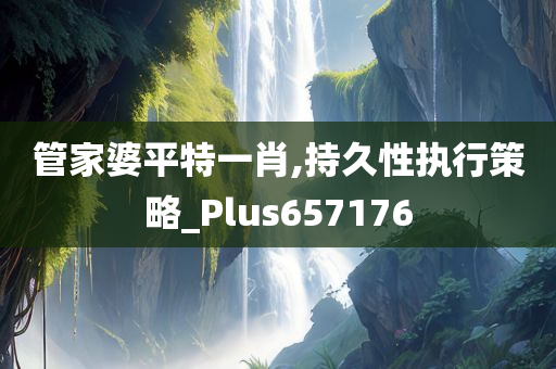 管家婆平特一肖,持久性执行策略_Plus657176