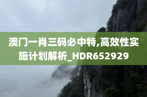 澳门一肖三码必中特,高效性实施计划解析_HDR652929