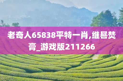 老奇人65838平特一肖,继晷焚膏_游戏版211266