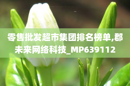 零售批发超市集团排名榜单,郡未来网络科技_MP639112