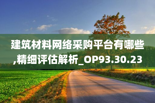 建筑材料网络采购平台有哪些,精细评估解析_OP93.30.23