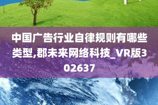 中国广告行业自律规则有哪些类型,郡未来网络科技_VR版302637