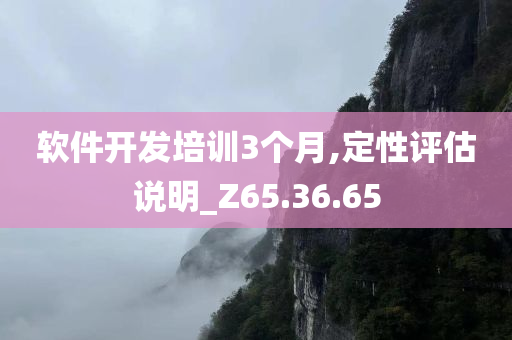 软件开发培训3个月,定性评估说明_Z65.36.65