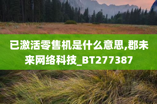 已激活零售机是什么意思,郡未来网络科技_BT277387