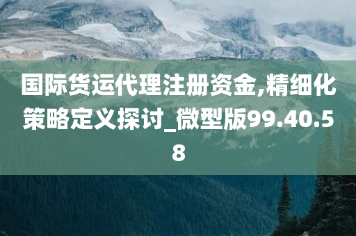 国际货运代理注册资金,精细化策略定义探讨_微型版99.40.58