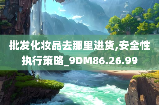 批发化妆品去那里进货,安全性执行策略_9DM86.26.99